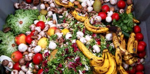 Food Donation and Food Scrap Recycling Act