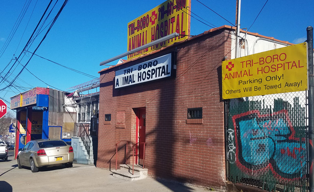 A 24-Hour Animal Hospital for the Bronx | The Bronx Journal